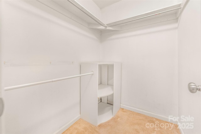 30 Robin Ln, Asheville, NC 28806 - spacious closet with carpet floors