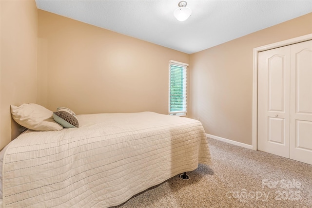 30 Robin Ln, Asheville, NC 28806 - bedroom with carpet flooring, baseboards, and a closet