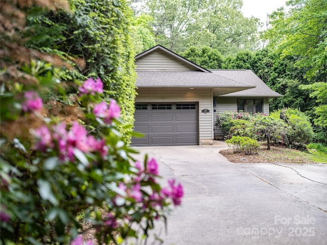 30 Robin Ln, Asheville, NC 28806 - ranch-style home with concrete driveway, a garage, and a shingled roof