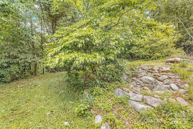 30 Robin Ln, Asheville, NC 28806 - view of yard with a wooded view