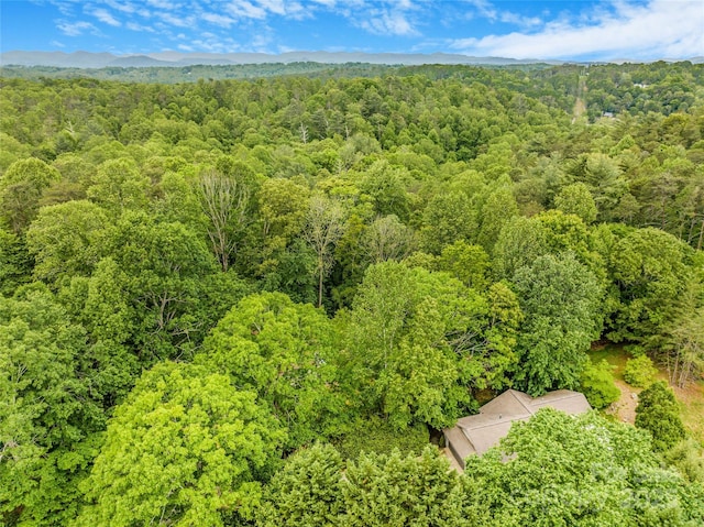 30 Robin Ln, Asheville, NC 28806 - bird's eye view of a heavily wooded area