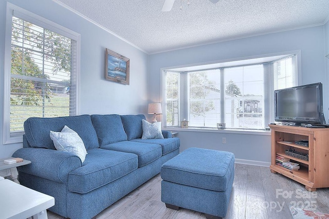 108 Brit Ln, New London, NC 28127 - living room featuring wood finished floors, plenty of natural light, ornamental molding, a textured ceiling, and ceiling fan