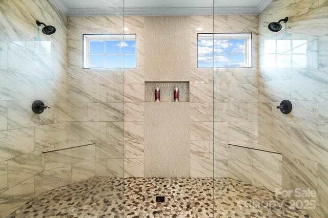 3707 Seagrave Farm Rd, Concord, NC 28025 - bathroom featuring ornamental molding, a tile shower, and healthy amount of natural light