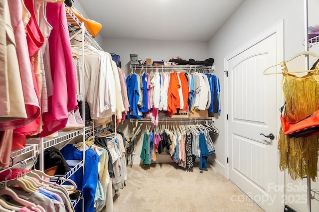 3707 Seagrave Farm Rd, Concord, NC 28025 - spacious closet with carpet