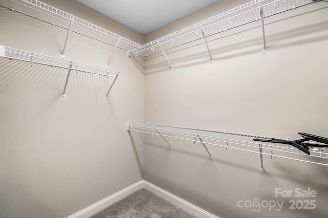 3707 Seagrave Farm Rd, Concord, NC 28025 - spacious closet with carpet flooring