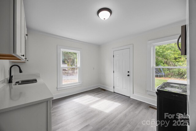 207 Eden St, Davidson, NC 28036 - kitchen with a sink, plenty of natural light, white cabinets, and light countertops
