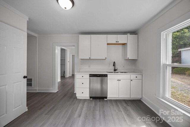 207 Eden St, Davidson, NC 28036 - kitchen with dishwasher, a sink, light countertops, light wood finished floors, and white cabinets