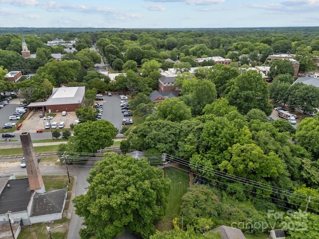 207 Eden St, Davidson, NC 28036 - drone / aerial view of a heavily wooded area
