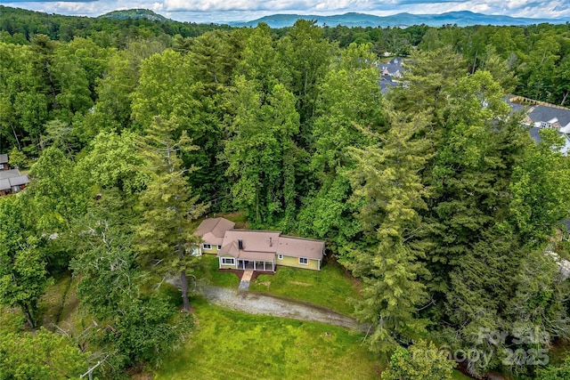 500 Broadway St, Hendersonville, NC 28739 - photo 29