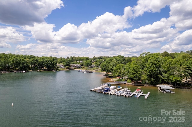 8024 Bradford Ln, Denver, NC 28037 - water view with a boat dock