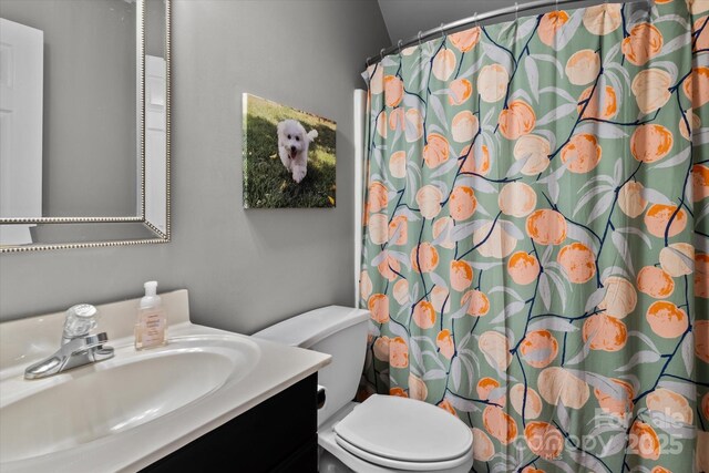 20840 Sierra Vista Dr, Cornelius, NC 28031 - photo 20
