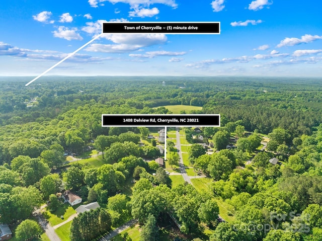 1408 Delview Rd, Cherryville, NC 28021 - drone / aerial view of a heavily wooded area