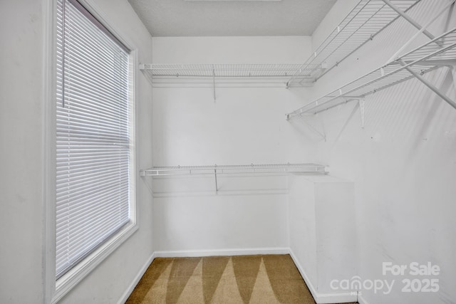 5678 Cedar Run Dr, Denver, NC 28037 - walk in closet featuring carpet floors