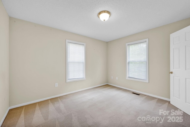 5678 Cedar Run Dr, Denver, NC 28037 - empty room featuring plenty of natural light, baseboards, carpet, and a textured ceiling