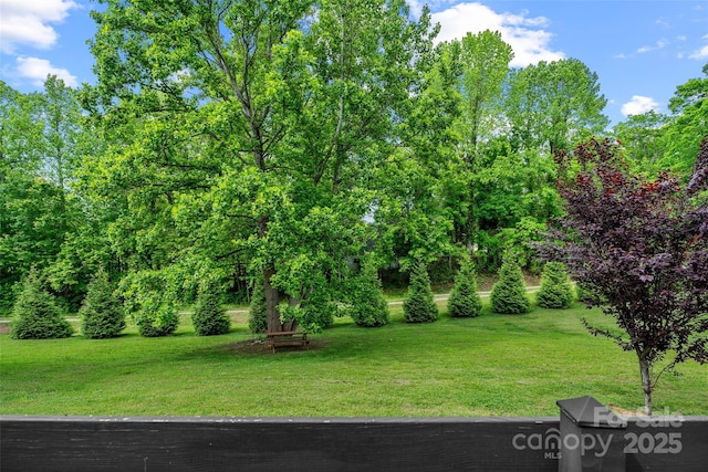 787 Ridge Rd, Marion, NC 28752 - photo 35