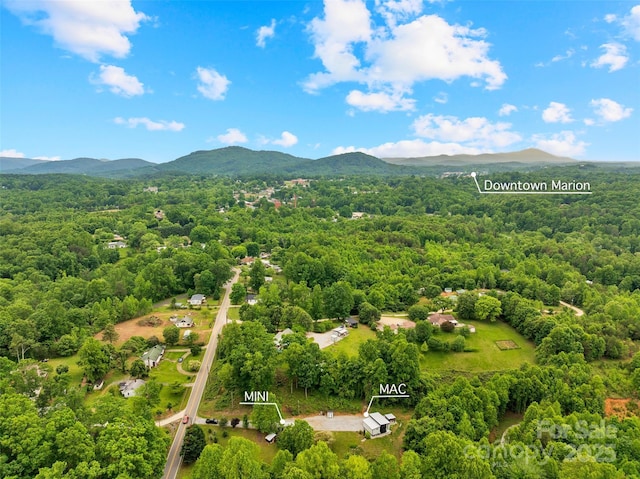 787 Ridge Rd, Marion, NC 28752 - photo 37