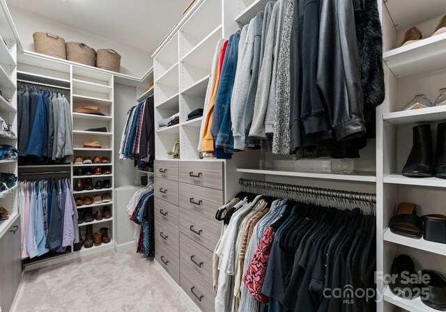 328 Whippoorwill Rd, Mooresville, NC 28117 - spacious closet with carpet flooring