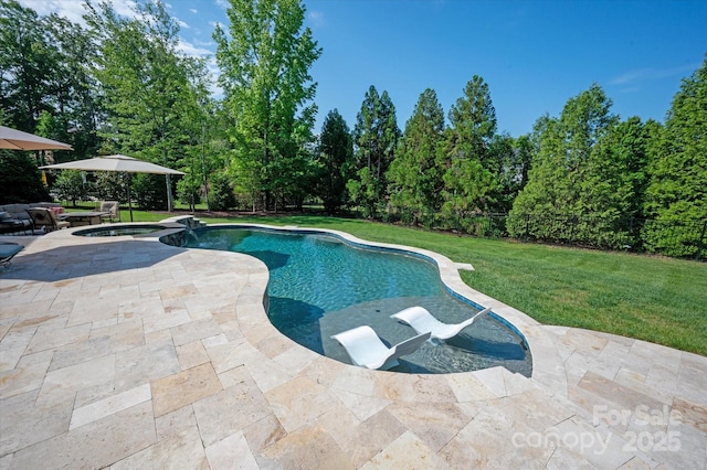 7507 Meadowgate Ln, Waxhaw, NC 28173 - view of swimming pool with a patio and a pool with connected hot tub