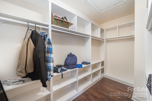 13612 Singleleaf Ln, Charlotte, NC 28278 - walk in closet featuring attic access and dark wood-type flooring