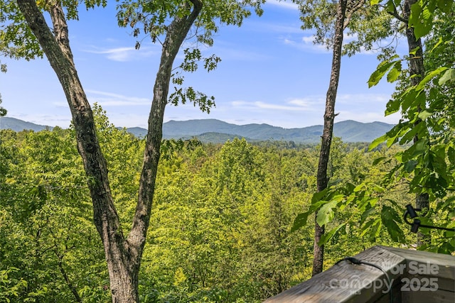 5 Saddle Rdg, Fletcher, NC 28732 - view of mountain backdrop with a forest