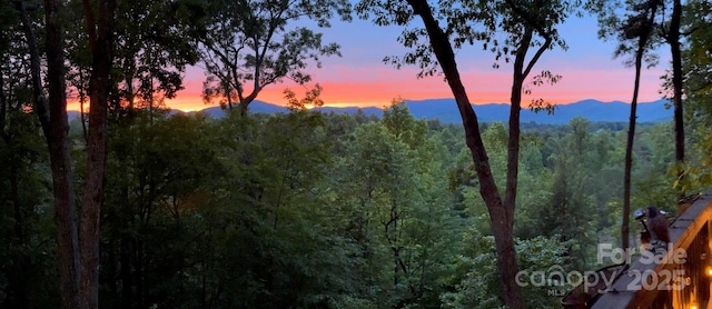 5 Saddle Rdg, Fletcher, NC 28732 - mountain view with a heavily wooded area