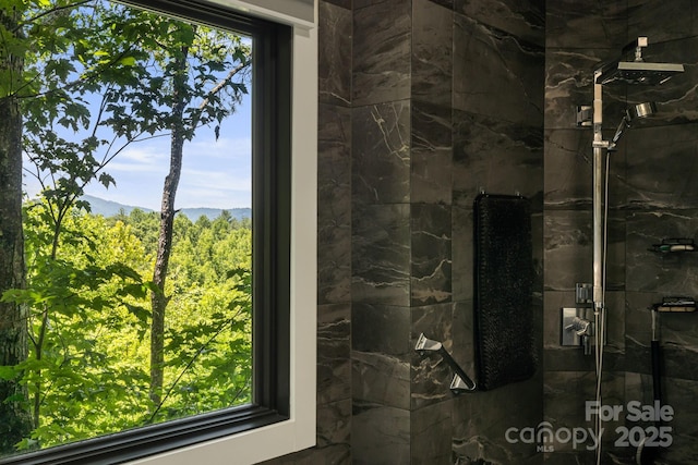 5 Saddle Rdg, Fletcher, NC 28732 - full bath with a marble finish shower