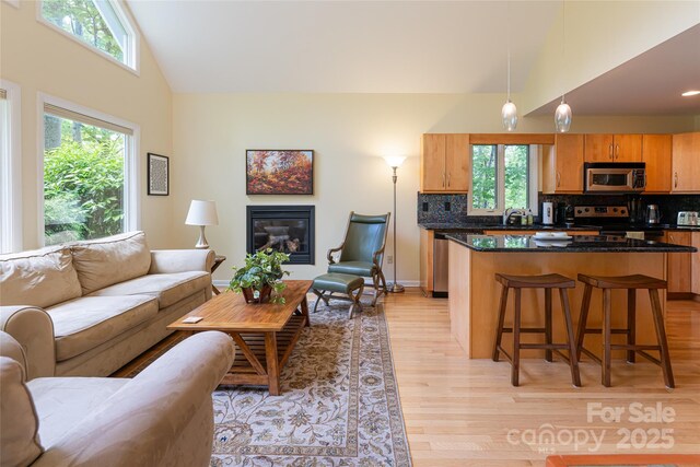70 Crabapple Ln, Asheville, NC 28804 - photo 9