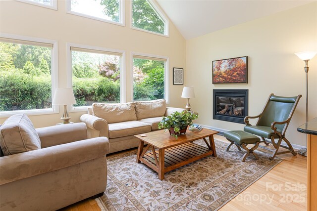 70 Crabapple Ln, Asheville, NC 28804 - photo 10