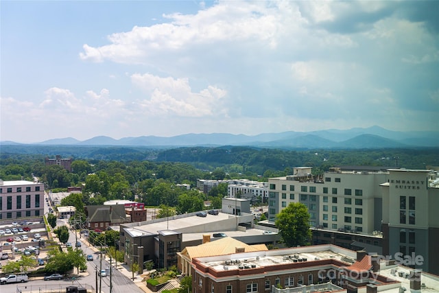 151 Haywood St Unit 1002, Asheville, NC 28801 - photo 41