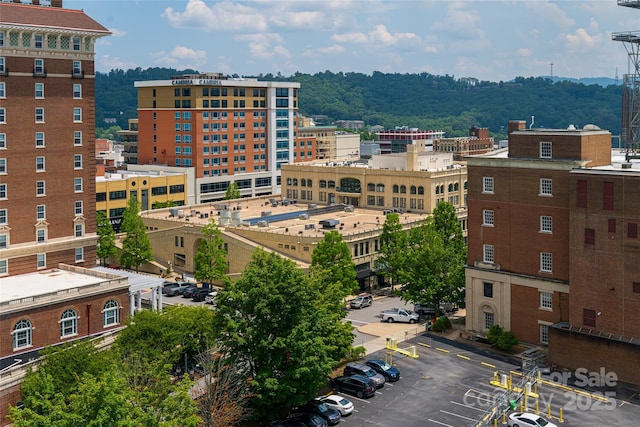 151 Haywood St Unit 1002, Asheville, NC 28801 - photo 42