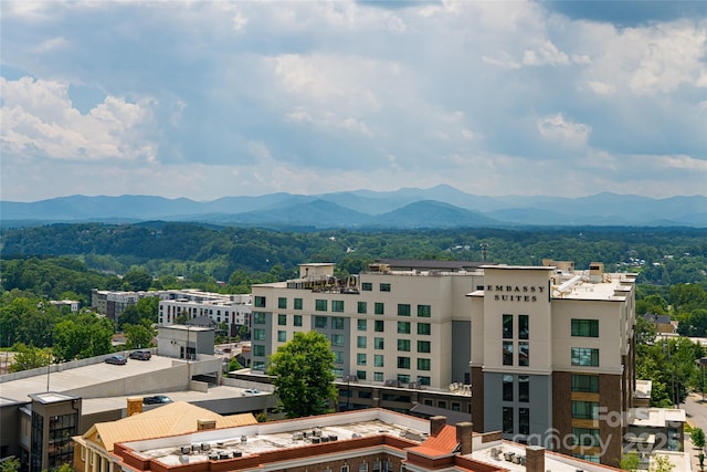 151 Haywood St Unit 1002, Asheville, NC 28801 - photo 43