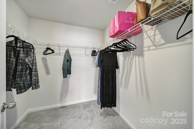 5034 Moss Pine Way, Tega Cay, SC 29708 - spacious closet with carpet floors