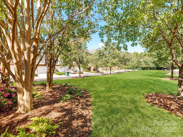 3044 Luke Crossing Dr, Charlotte, NC 28226 - view of grassy yard