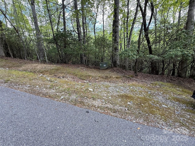 TBD Tellico Trail 42/22, Brevard, NC 28712