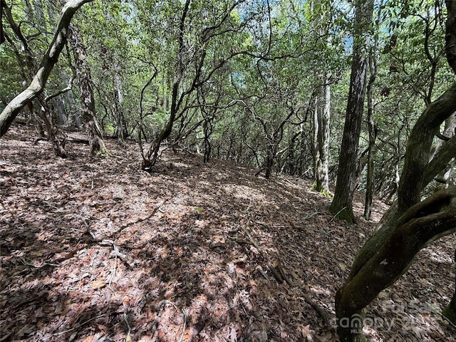 TBD Tellico Trail 42/22, Brevard, NC 28712