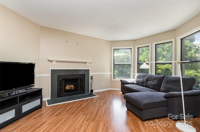 216 S Clarkson St Unit E, Charlotte, NC 28202 - living area featuring wood finished floors, a fireplace, and baseboards