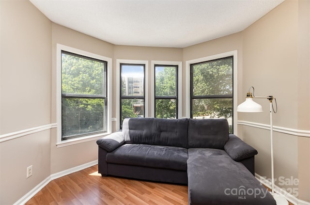 216 S Clarkson St Unit E, Charlotte, NC 28202 - living room featuring healthy amount of natural light, wood finished floors, and baseboards