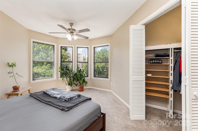 216 S Clarkson St Unit E, Charlotte, NC 28202 - carpeted bedroom featuring multiple windows, baseboards, and a ceiling fan