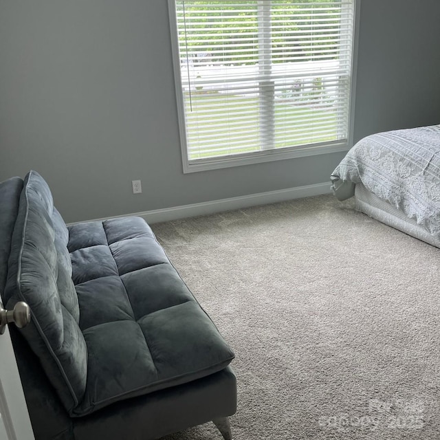 1119 Balls Creek Rd, Claremont, NC 28610 - bedroom with baseboards and carpet