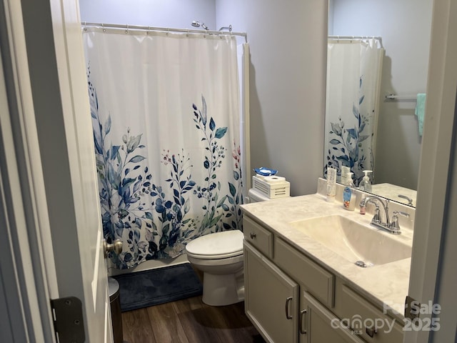 1119 Balls Creek Rd, Claremont, NC 28610 - full bathroom with toilet, wood finished floors, and vanity