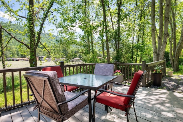 104 Riddle Cove Rd, Maggie Valley, NC 28751 - photo 4