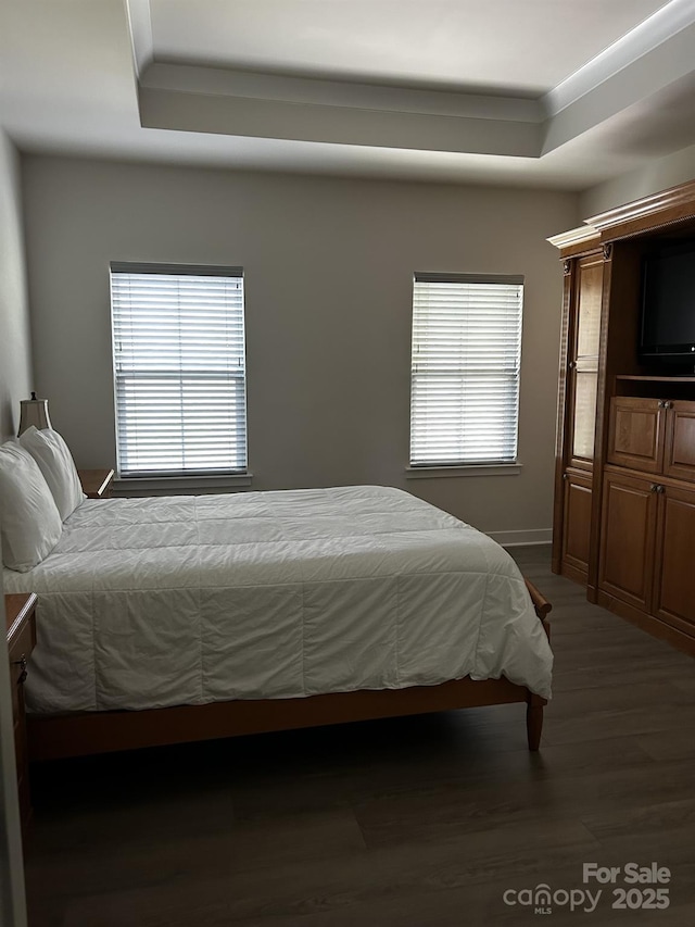 934 Prince Garrett Way, Denver, NC 28037 - bedroom featuring dark wood-type flooring, a raised ceiling, and baseboards