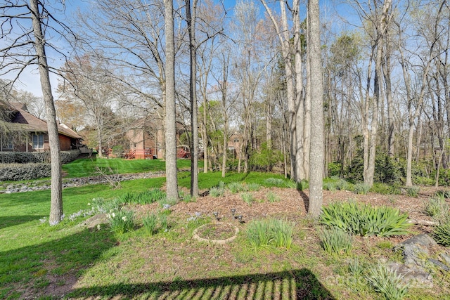 5108 Tedorill Ln, Charlotte, NC 28226 - view of grassy yard