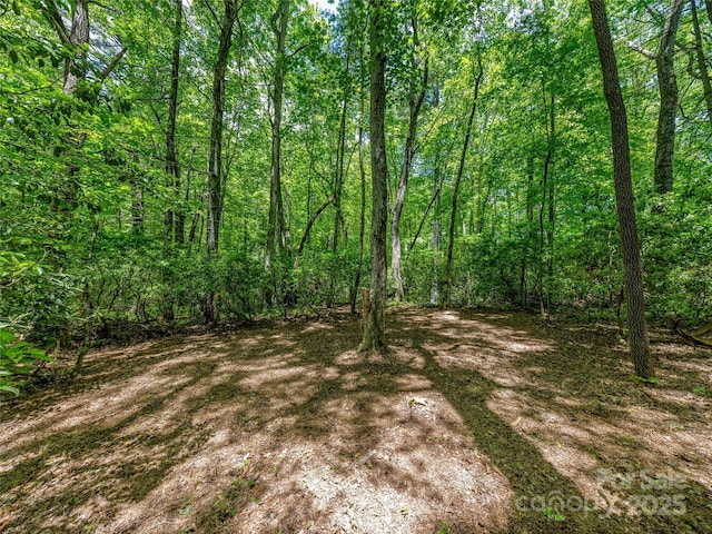 J33 Cherokee Pt, Lake Toxaway, NC 28747
