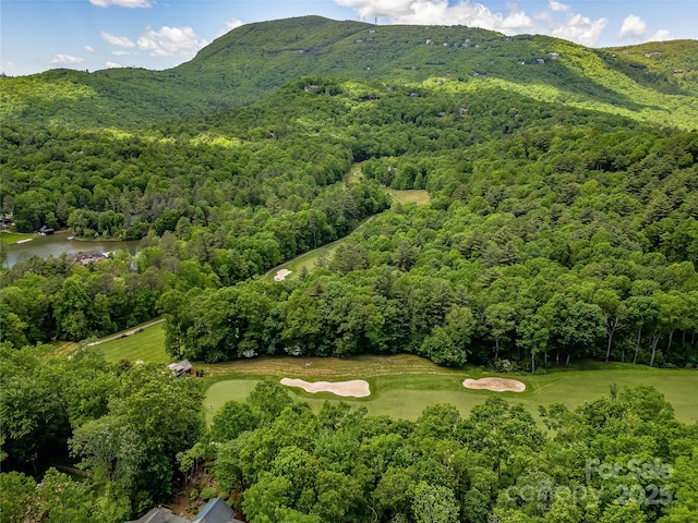 J33 Cherokee Pt, Lake Toxaway, NC 28747