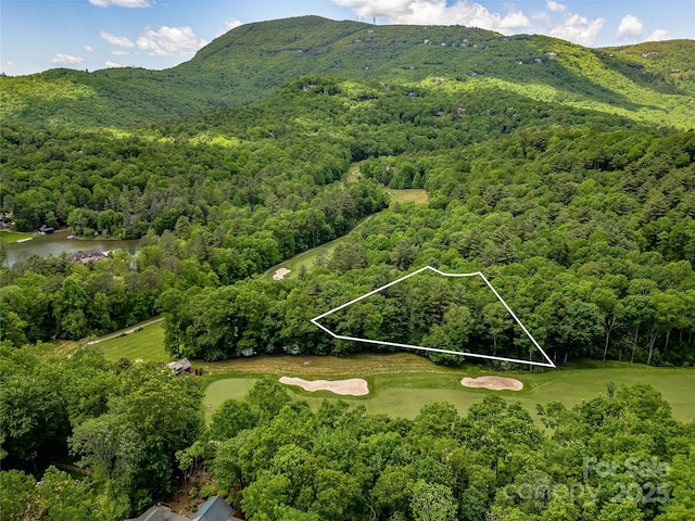 J33 Cherokee Pt, Lake Toxaway, NC 28747
