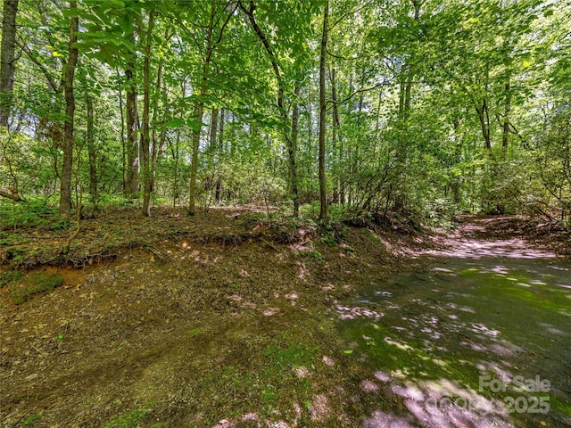 J33 Cherokee Pt, Lake Toxaway, NC 28747