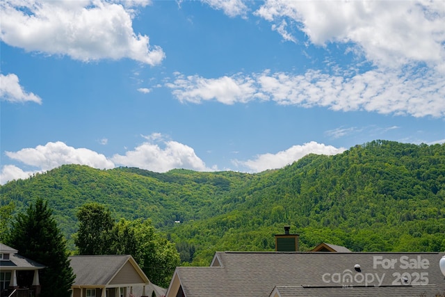 31 Byrdcliffe Ln, Asheville, NC 28805 - photo 33