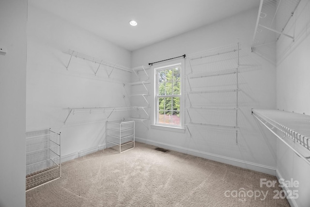 spacious closet with carpet floors