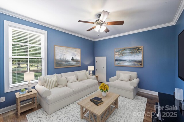 4941 Campobello Dr, Monroe, NC 28110 - living area with baseboards, ceiling fan, dark wood-type flooring, and ornamental molding